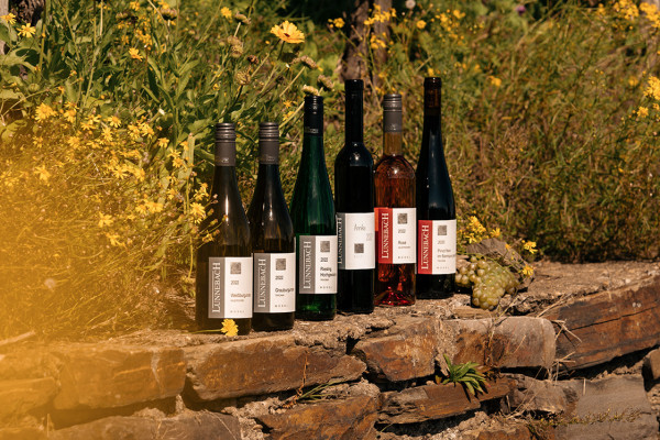 Weingut Lunnebach Webseiten Fotos